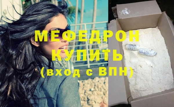 индика Медвежьегорск