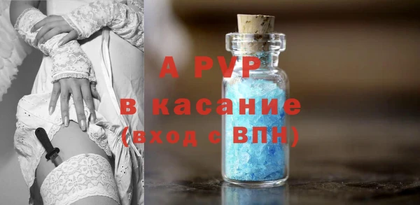 ГАЛЛЮЦИНОГЕННЫЕ ГРИБЫ Магадан