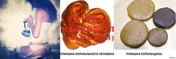 индика Медвежьегорск