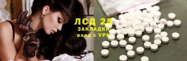 индика Медвежьегорск