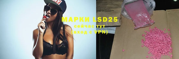 ГАЛЛЮЦИНОГЕННЫЕ ГРИБЫ Магадан