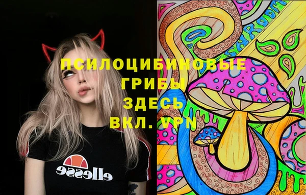 крисы Нижний Тагил
