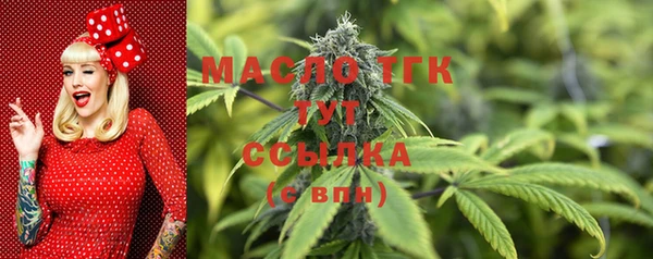 дживик Майский