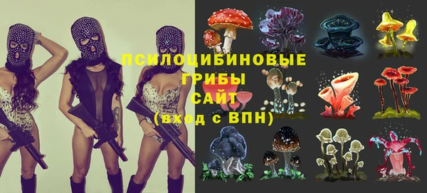 ГАЛЛЮЦИНОГЕННЫЕ ГРИБЫ Магадан