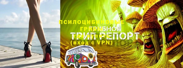 ГАЛЛЮЦИНОГЕННЫЕ ГРИБЫ Магадан