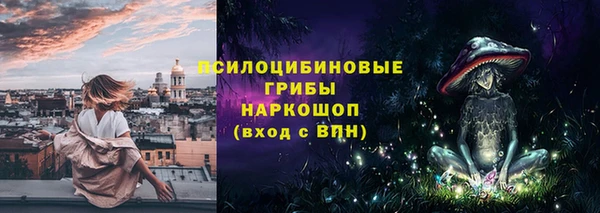 дживик Майский
