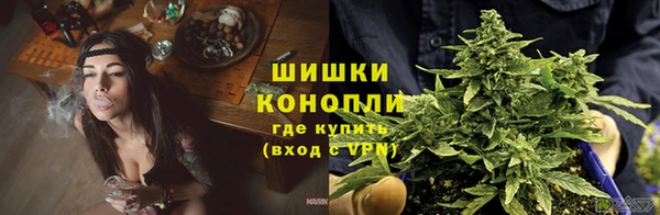 дживик Майский