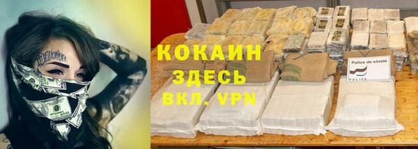 дживик Майский