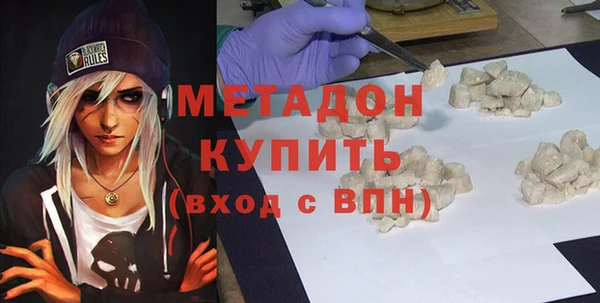 индика Медвежьегорск